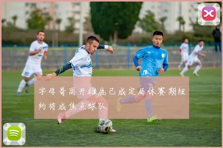 字母哥离开雄鹿已成定局休赛期纽约将成焦点球队